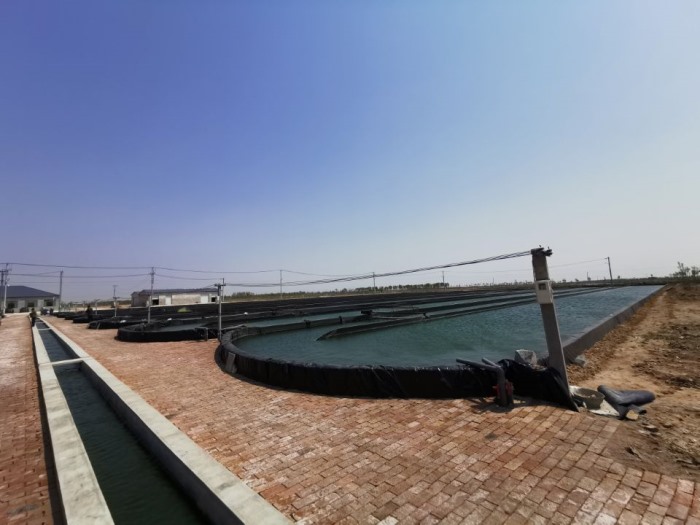 養(yǎng)殖池土工膜應(yīng)用