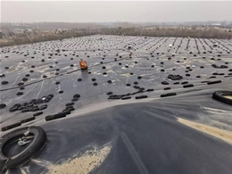 垃圾場封場項目