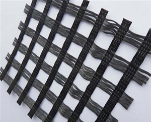 經(jīng)編滌綸土工格柵